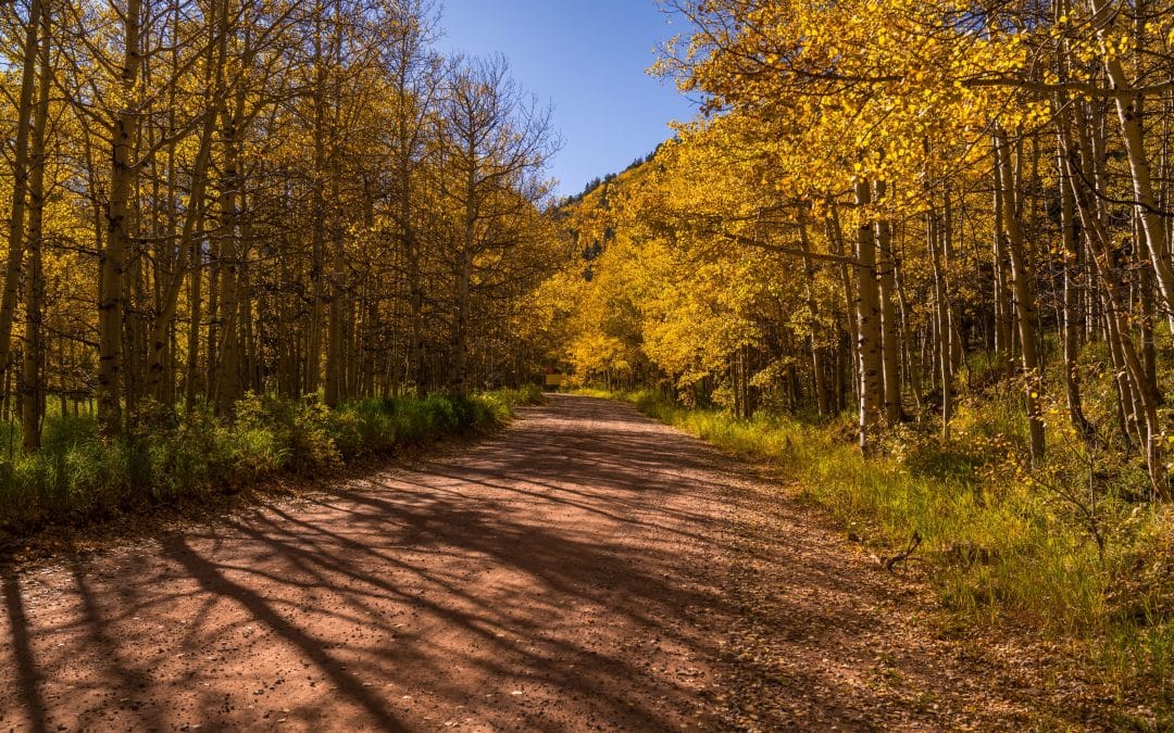 Where to see Fall Colors in Spanish Peaks Country