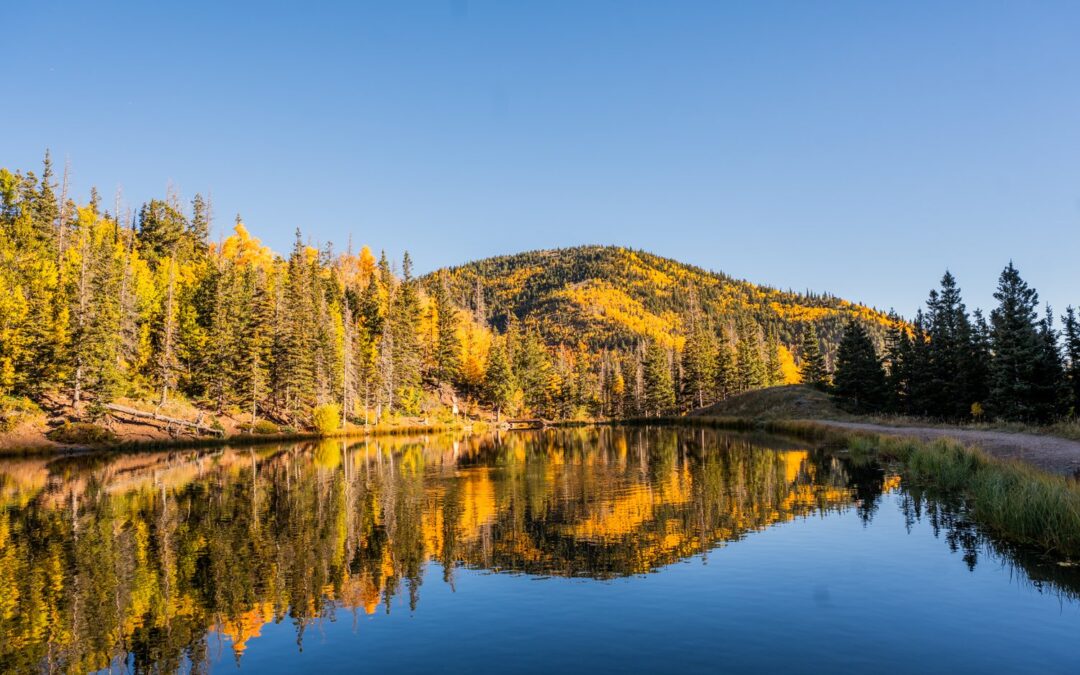 October in Spanish Peaks Country: Oktoberfest, Golden Aspens, and Ghost Towns