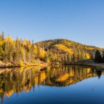 A still mountain lake reflecting a hillside of bright golden aspens under a deep blue sky